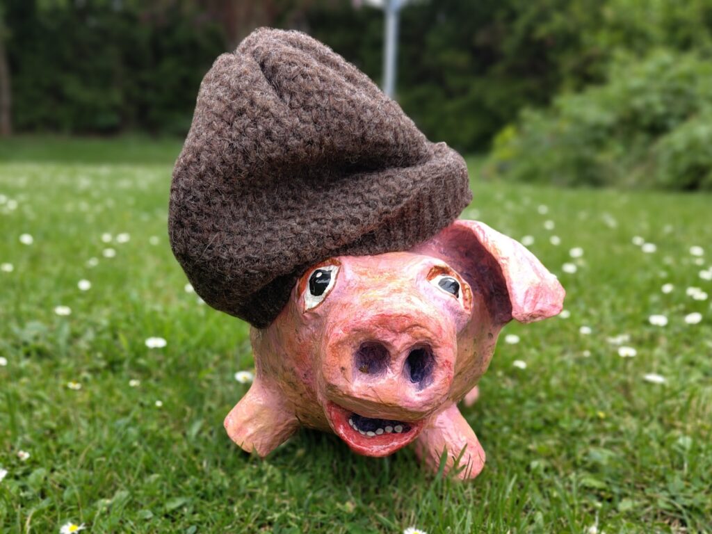 Schwein mit Mütze